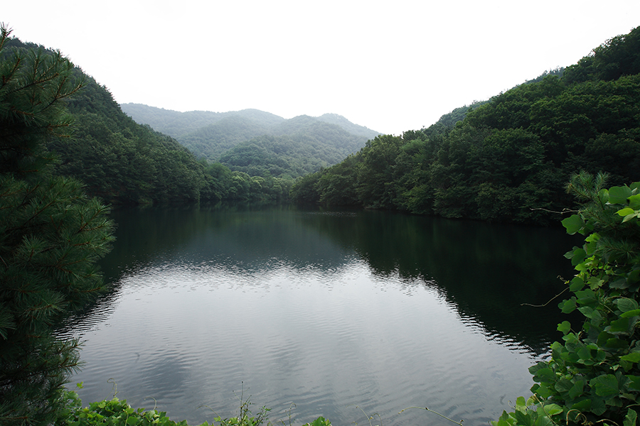 깊은 산속 청정골, 금학생태공원