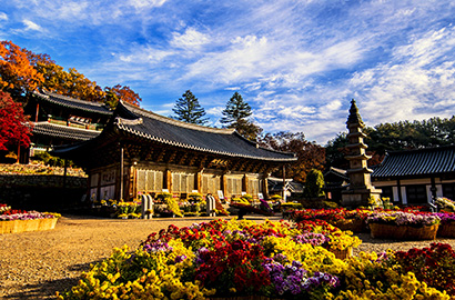 麻谷寺 秋