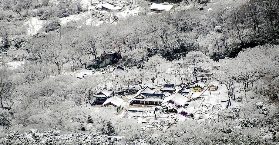 갑사설경 - 이경자 | 입선 이미지